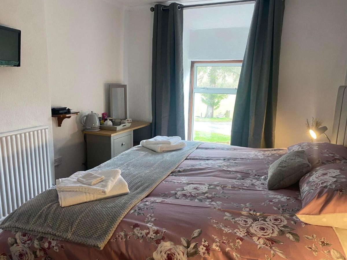 Rhydydefaid Bed And Breakfast, Guesthouse In Frongoch, Snowdonia エクステリア 写真